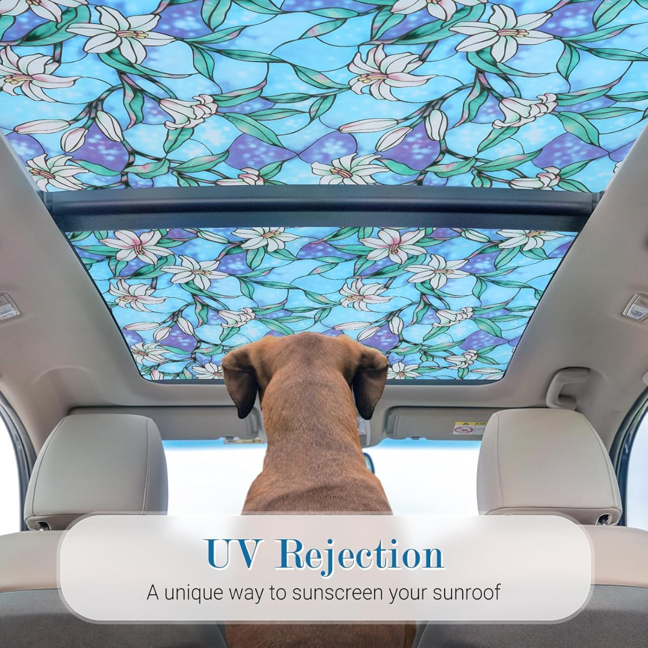 3D Blue Flower Window Film – Decorative Glass Covering